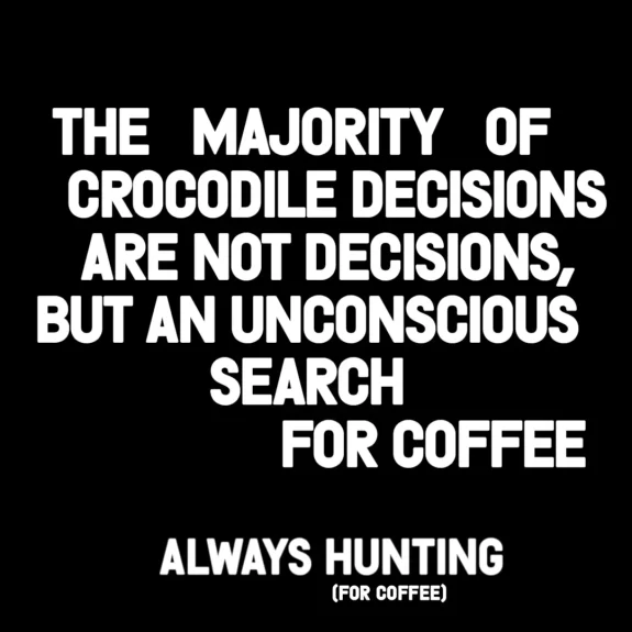 Croc carousel 2